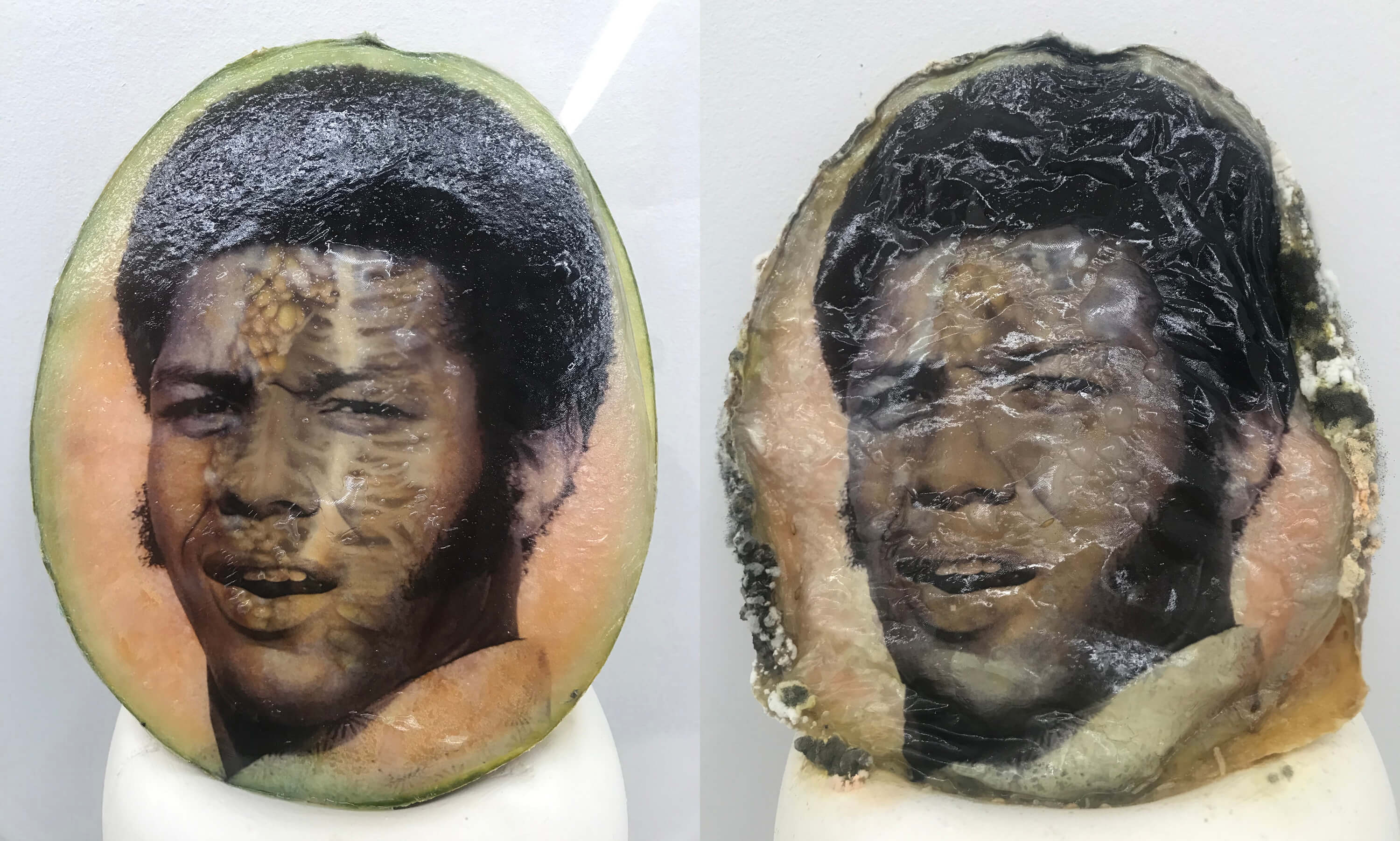 Melon Skin