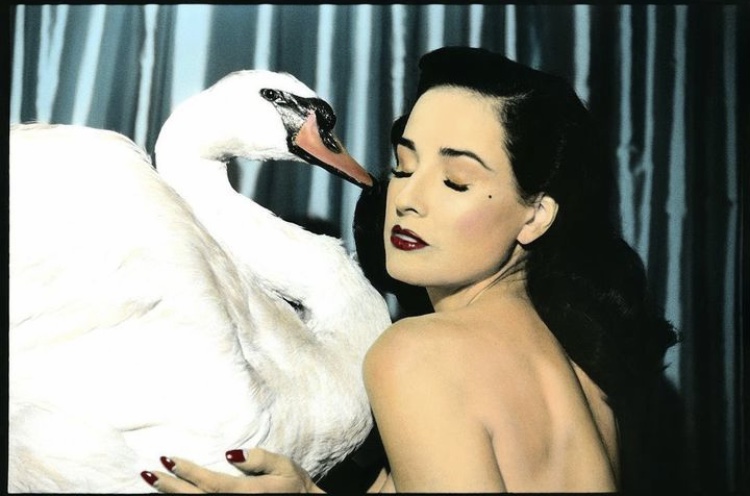 Dita and Swan IG